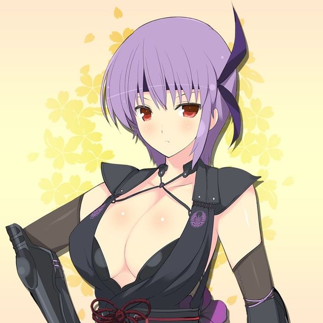 Game cover: Senran Kagura: Estival Versus - Dead or Alive Pack