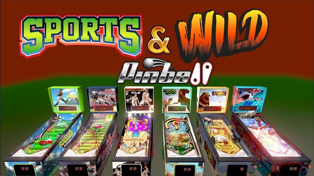 Game cover: Sports & Wild Pinball