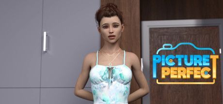 Game cover: Picture Perfect