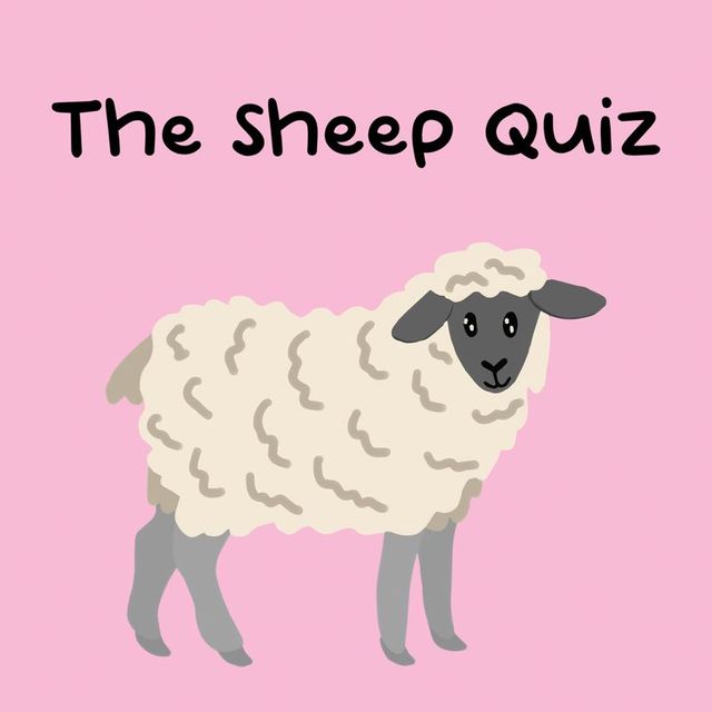 Game cover: The Sheep Quiz