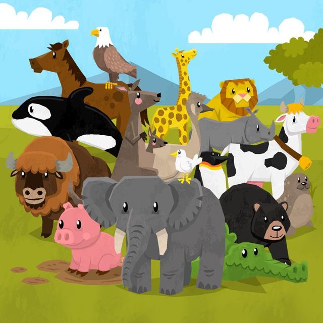 Game cover: Animal Fun for Toddlers and Kids