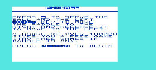 Game cover: Pinball Wizard