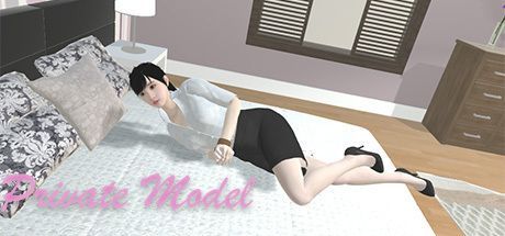 Game cover: Private Model
