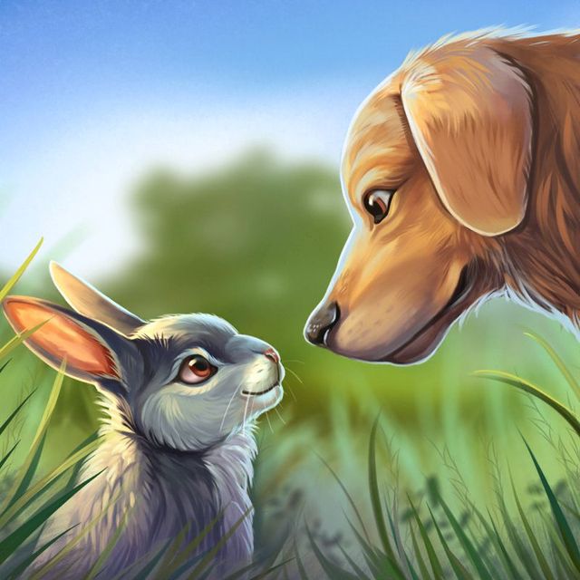 Game cover: Pet World: My Animal Shelter