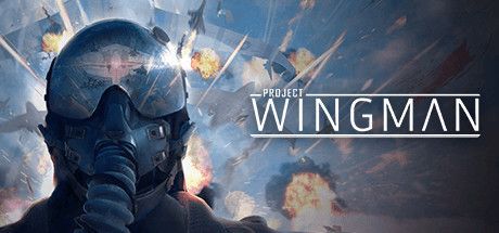 Game cover: Project Wingman