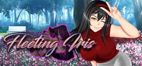 Game cover: Fleeting Iris
