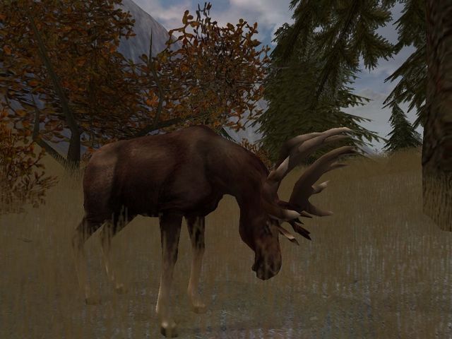 Game cover: Cabela's Big Game Hunter 2004