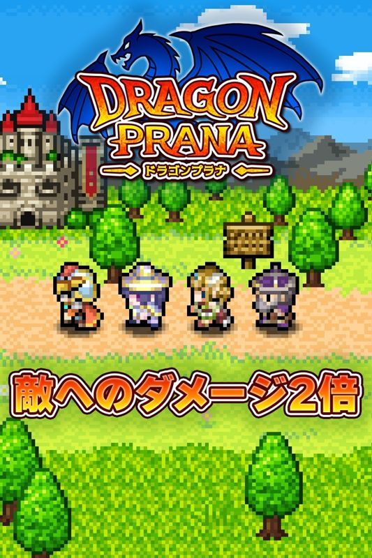 Game cover: Dragon Prana: Damage x2