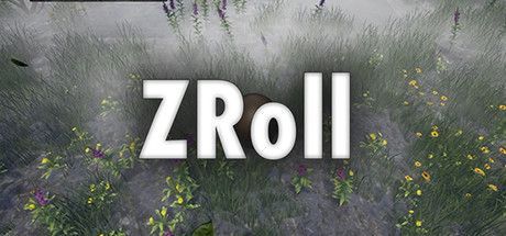 Game cover: ZRoll