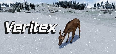 Game cover: Veritex