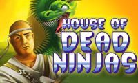 Game cover: House of Dead Ninjas