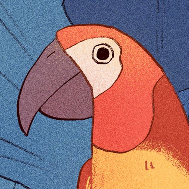 Game cover: Bird Alone