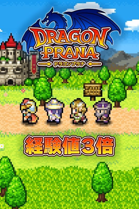 Game cover: Dragon Prana: Experience x3