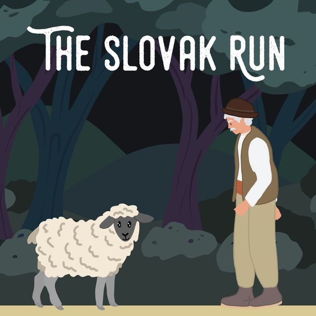 Game cover: The Slovak Run