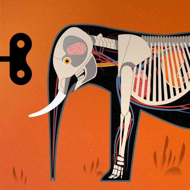 Game cover: Mammals