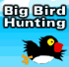 Game cover: Big Bird Hunting
