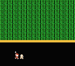 Game cover: Kaguya-hime Densetsu